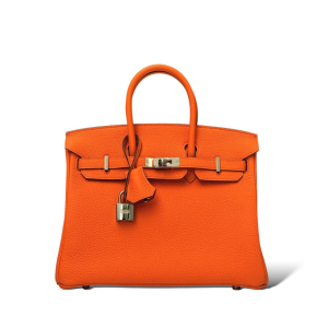 164_970bbf1e-8d87-4649-8eda-ffdf144f9f0d Birkin 25 Bag