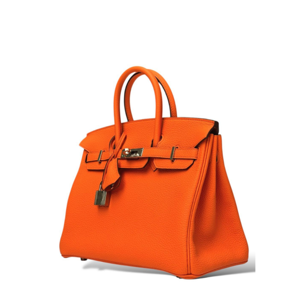 Birkin 25 Bag