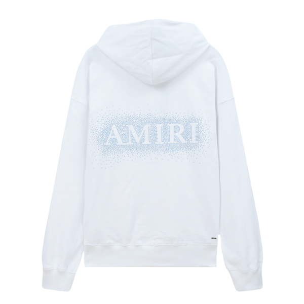 Amr Polychromatic Hoodie