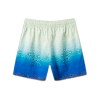 Casa Swim Shorts