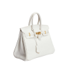 38_ed78729f-abff-4074-9dc3-69d93eb88422 Birkin 25 Bag