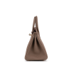 Birkin 25 Bag