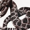Amr Snake T-shirt